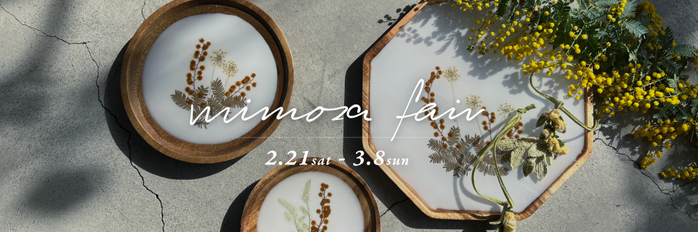 mimosa-fair_2026_news
